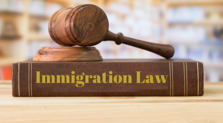 FAQs: Do I Need An Immigration Lawyer?