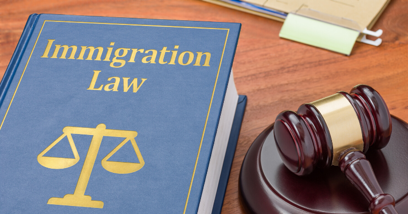 Immigration Law: Judge Blocks Trump Immigrant Health Insurance Rule | Immigration Lawyer Mario Godoy | Godoy Law Office