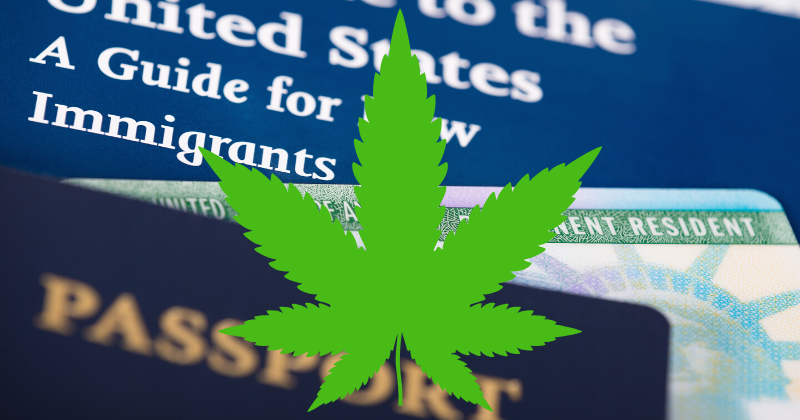 Marijuana and Mixed Status Households | Mario Godoy | Chicago Immigration Lawyer | Godoy Law Firm