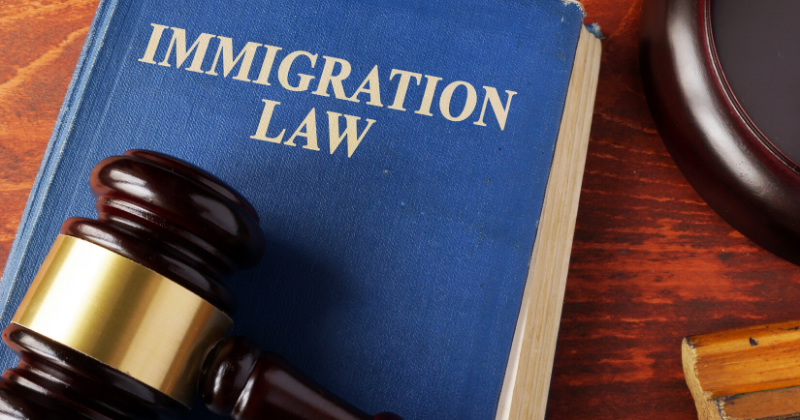 New Office to Strip Illegally Obtained Citizenships | Immigration Attorney Mario Godoy