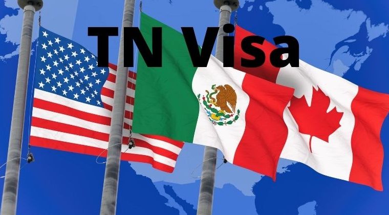Can I Apply For A TN Visa In The United States?