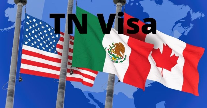 What Is A TN Visa?