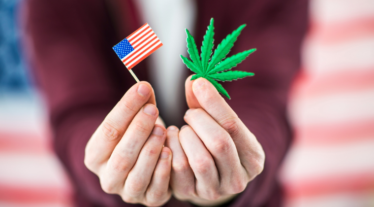 House Passes Marijuana Legalization Bill: Cannabis Remains Illegal Federally