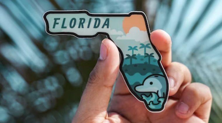 Undocumented Immigrants and Florida: Is It Safe To Travel To Disney This Summer?