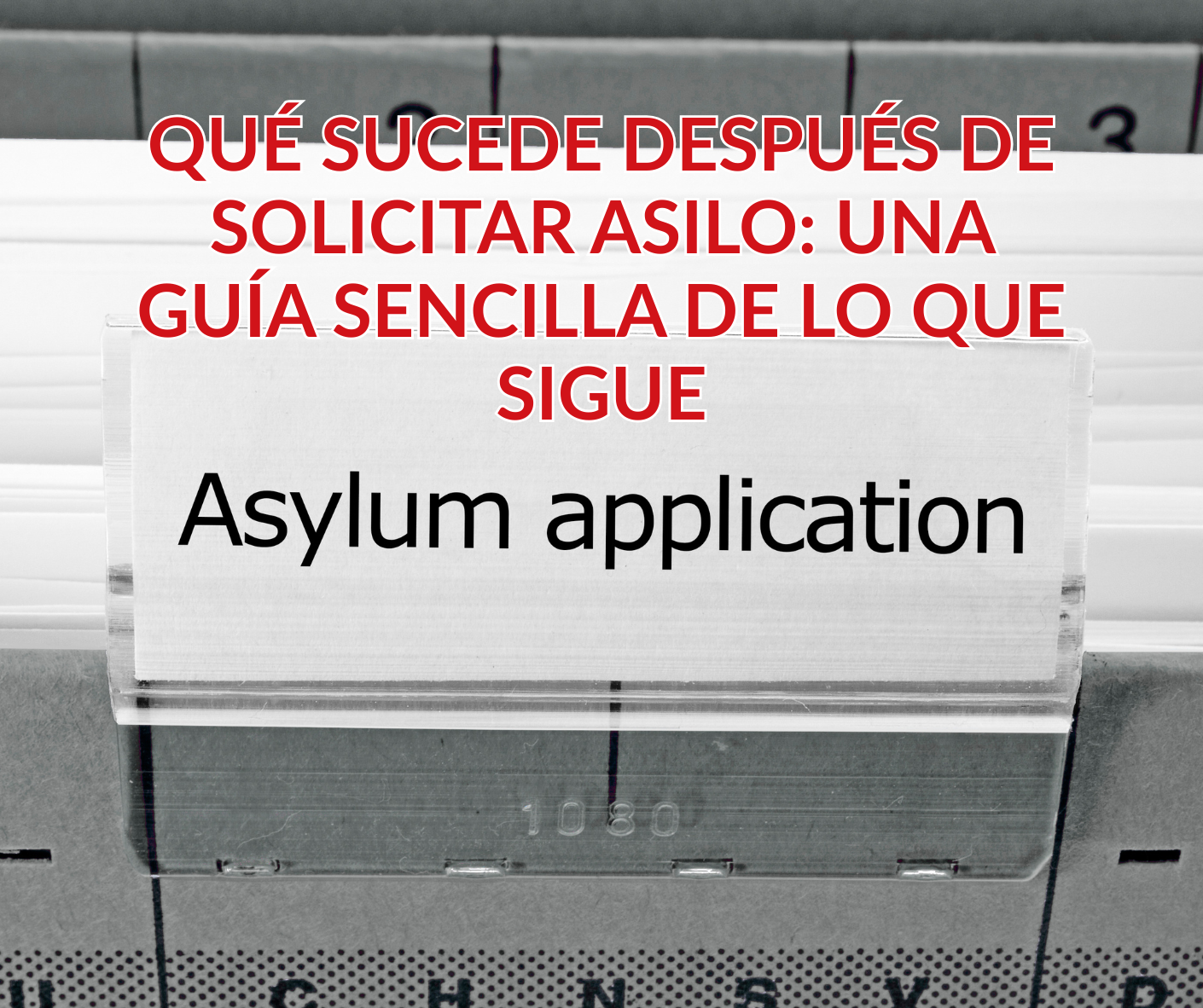 Qué Sucede Después de Solicitar Asilo_ Una Guía Sencilla de Lo Que Sigue